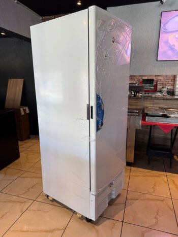 Freezer Vertical: Vantagens, Como Escolher e Onde Comprar para Seu Comércio